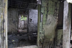 IMG_8328